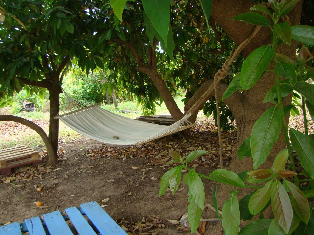 Quinta Da Norinha Hotel Portimão Exterior foto